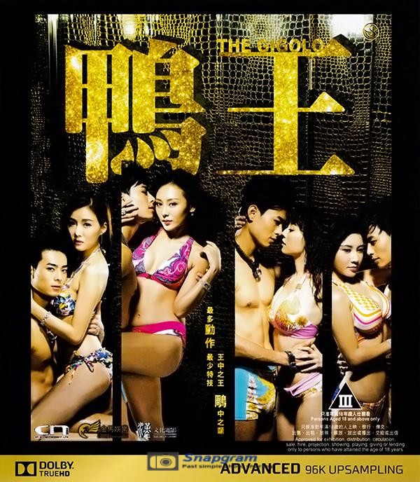 鸭王2(2016)TheGigolo2