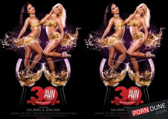 2013 AVN 颁奖典礼-lyz