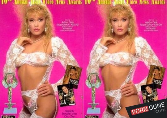 1993 年 AVN 颁奖典礼-lyz